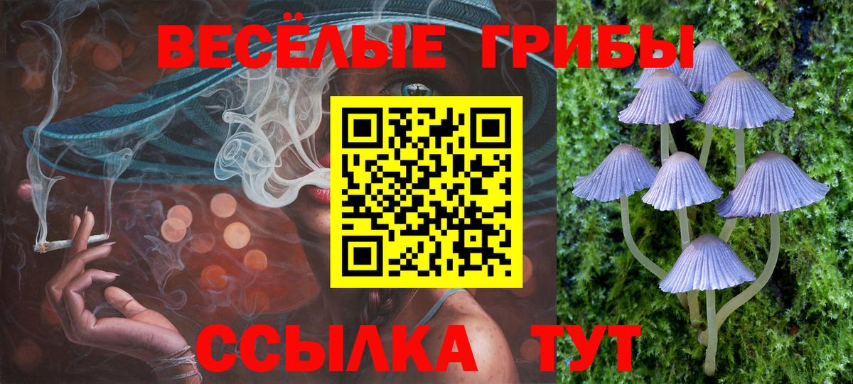 Псилоцибиновые грибы Magic Shrooms Лесозаводск