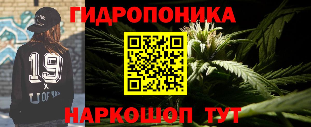Конопля Ganja Лесозаводск